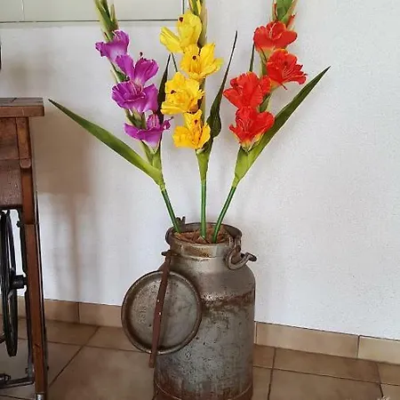 Holiday home Ferienhaus Gisela